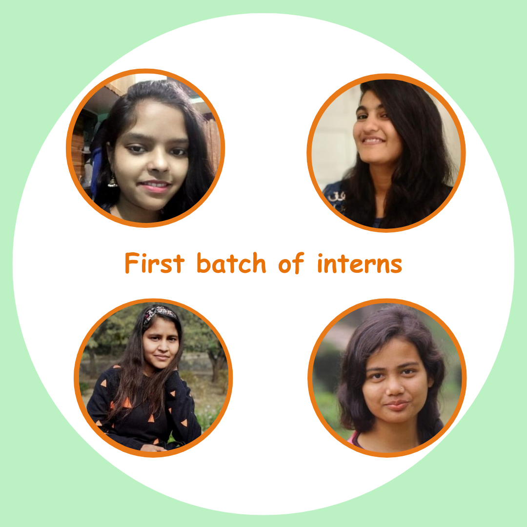 Anubhav-shala batch of interns